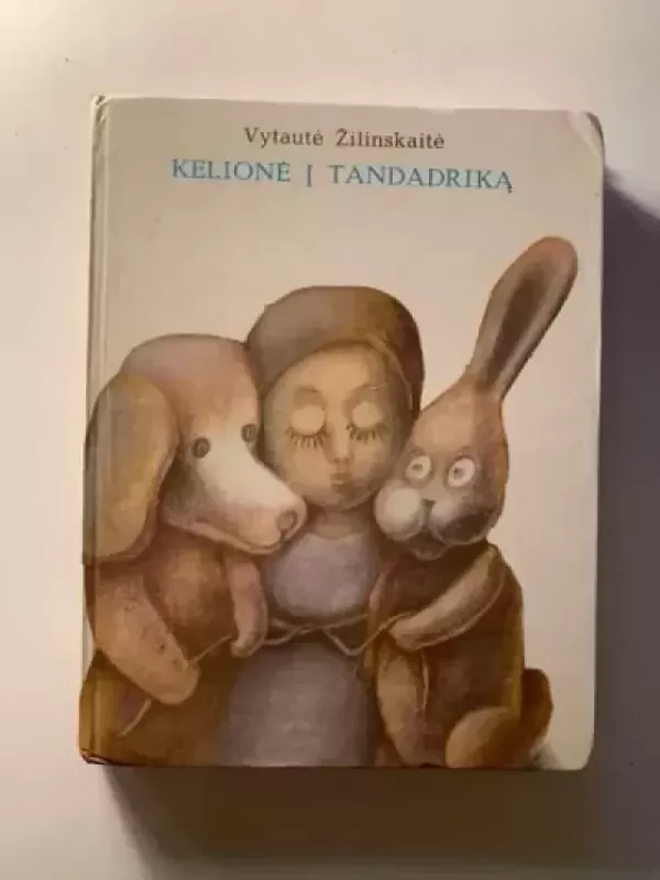 Kelionė į Tandadriką - Vytautė Žilinskaitė, knyga 2