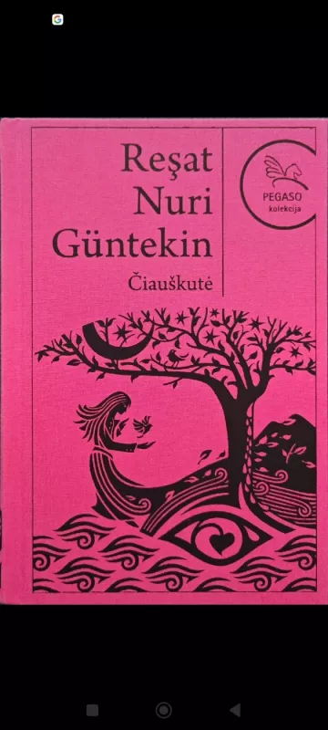 Čiauškutė - Rešadas Nuris Giuntekinas, knyga 2