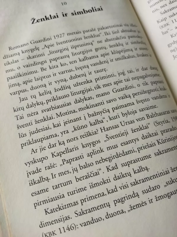 Mūsų tikėjimo šaltiniai - Christoph Schonborn, knyga 5
