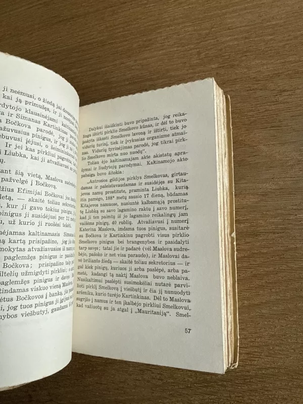 Prisikelimas-pirmas tomas - L. N. Tolstoj, knyga 5