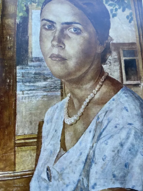 Petrov-Vodkine - Vladimir Kostin, knyga 6