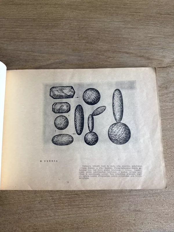 Ikimokyklinio amžiaus vaikų lipdiniai - Jaronimas Kmieliauskas, knyga 5