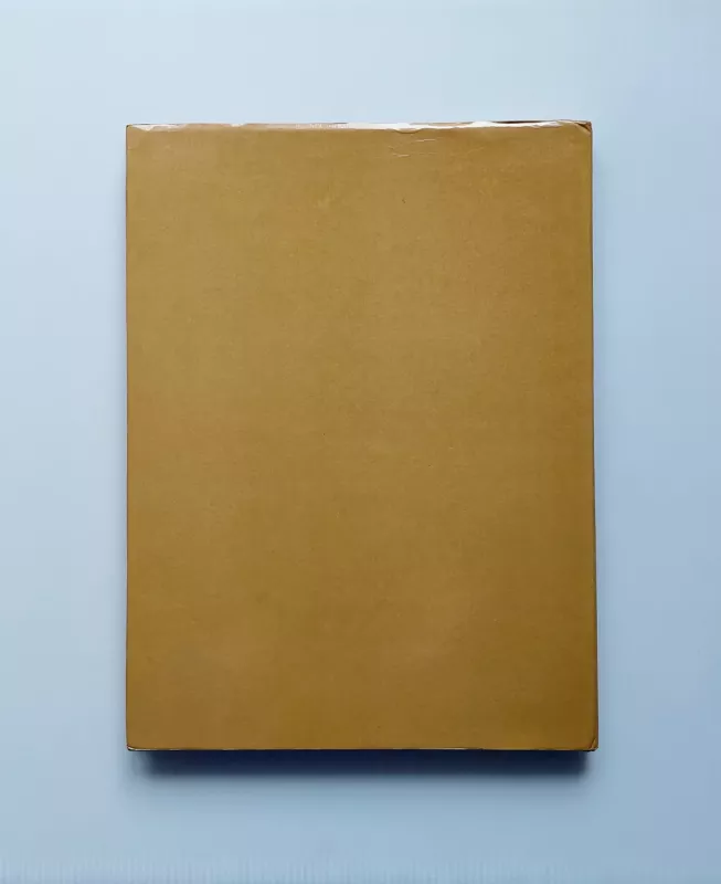 Ji buvo Simonaitytė - Ona Pajedaitė, knyga 3