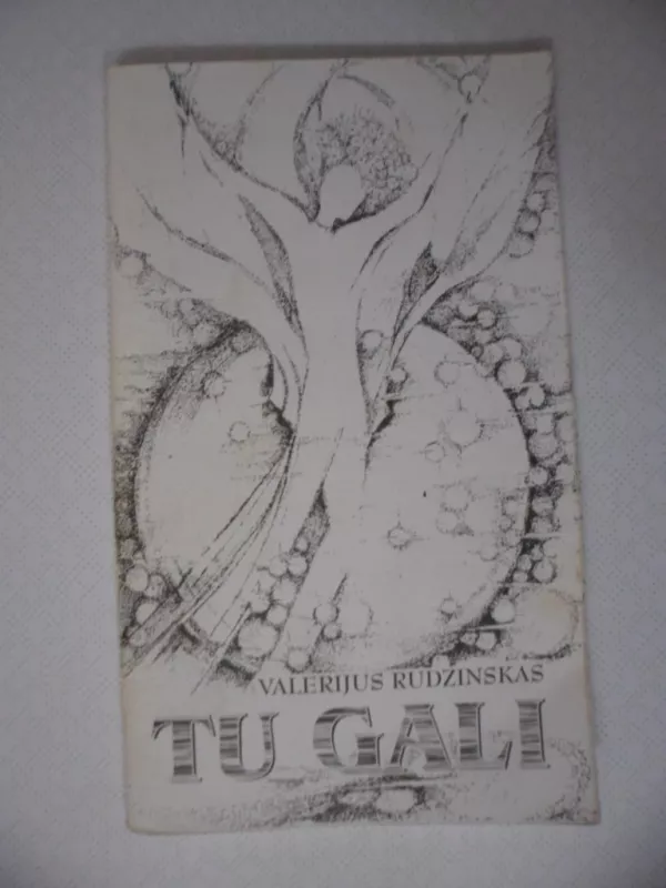 Tu gali - Valerijus Rudzinskas, knyga 6