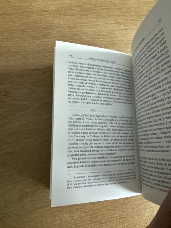 Raštai. Filosofijos istorija, kultūra - Vosylius Sezemanas, knyga 6