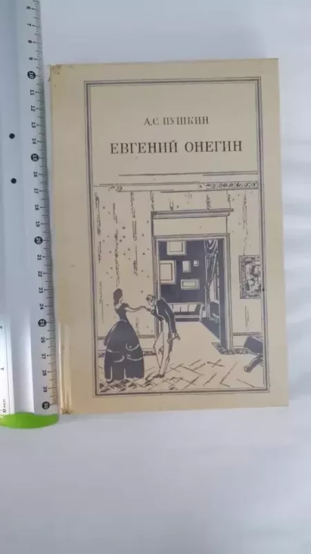 Evgenij Onegin - A.S. Puškin, knyga 2