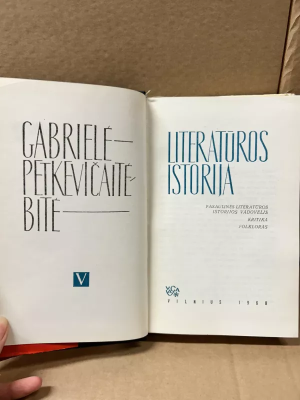 Literatūros istorija - Gabrielė Petkevičaitė-Bitė, knyga 4