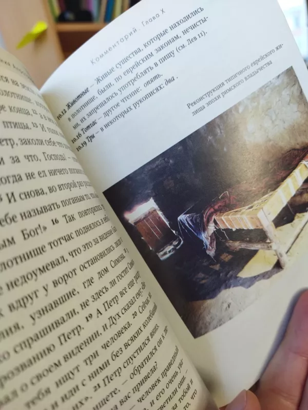 Kelionė su Apaštalais - Autorių kolektyvas (įvairūs), knyga 5