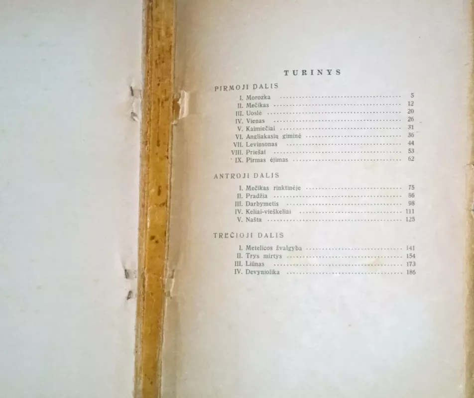 Sutriuškinimas - Aleksandras Fadejevas, knyga 3