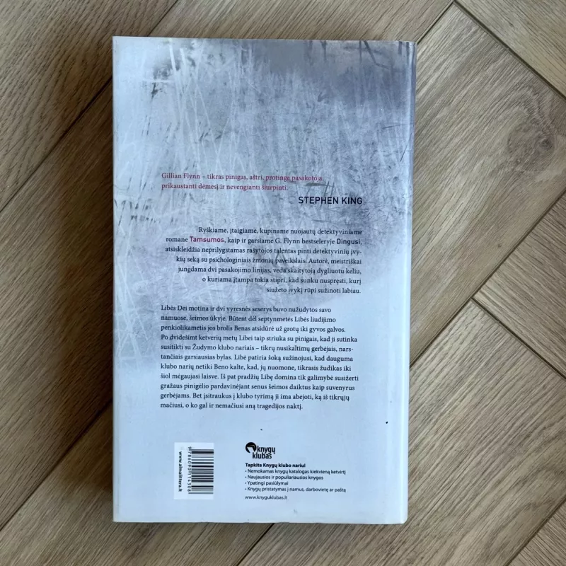 Tamsumos - Gillian Flynn, knyga 3