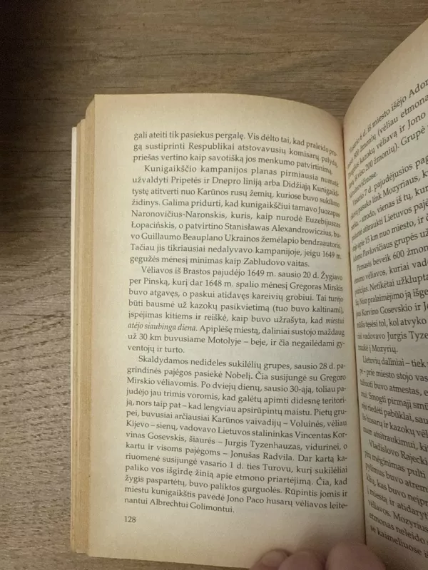 Jonušas Radvila - Henrikas Visneris, knyga 5