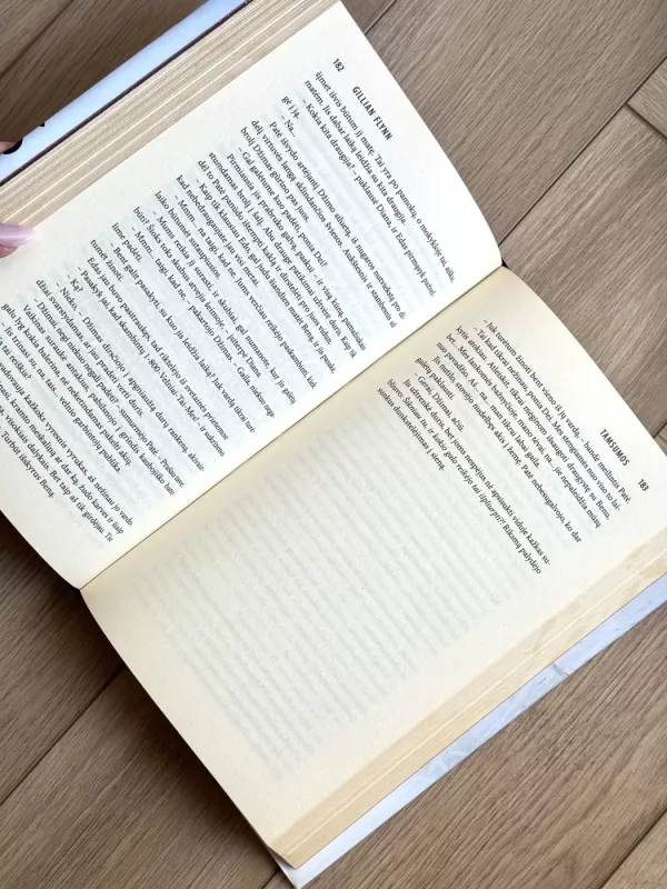 Tamsumos - Gillian Flynn, knyga 6