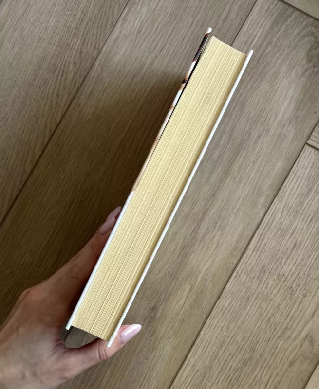 Ugnies vaikas - S.K. Tremayne, knyga 5