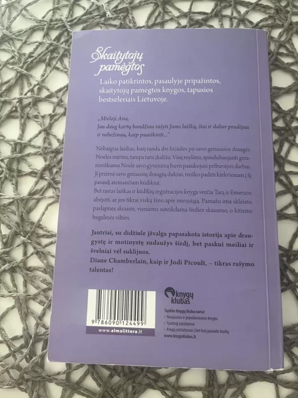 Pribuvėjos Išpažintis - Diane Chamberlain, knyga 3