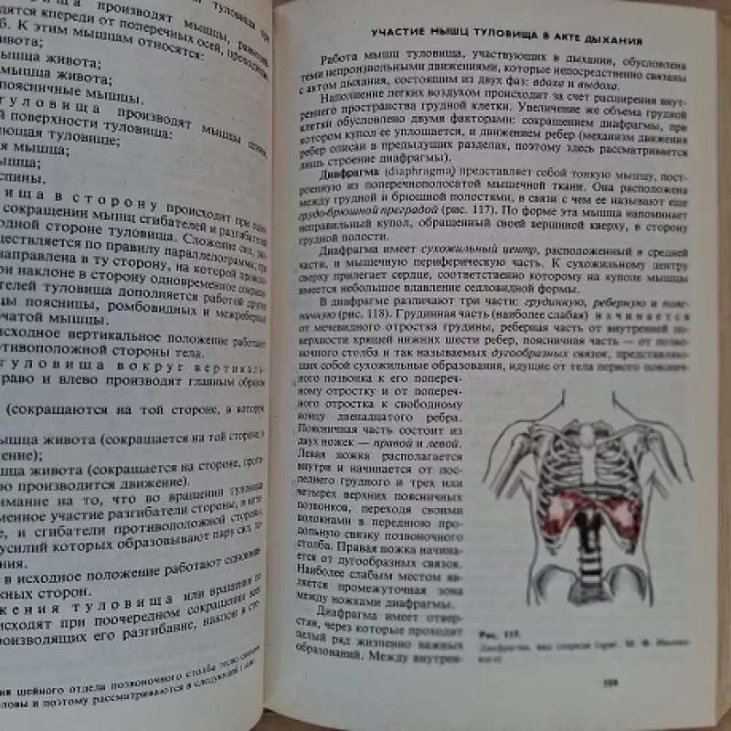 Анатомия человека - В. И. Козлова, knyga 5