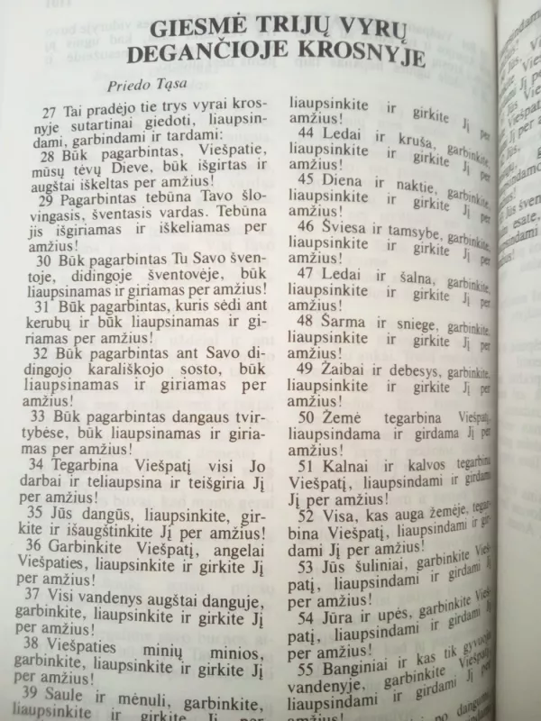 Šventasis Raštas - Alfred Velius, Alfredas Vėlius, knyga 4