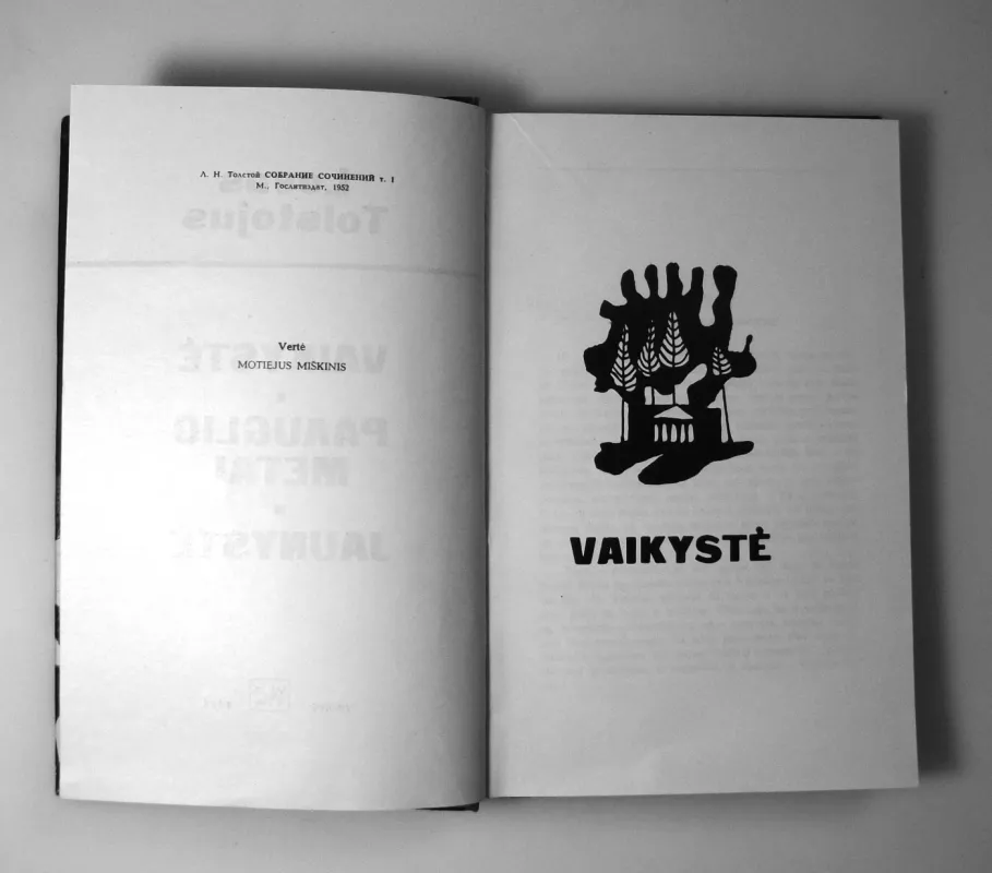 Vaikystė. Paauglio metai. Jaunystė - Levas Tolstojus, knyga 5