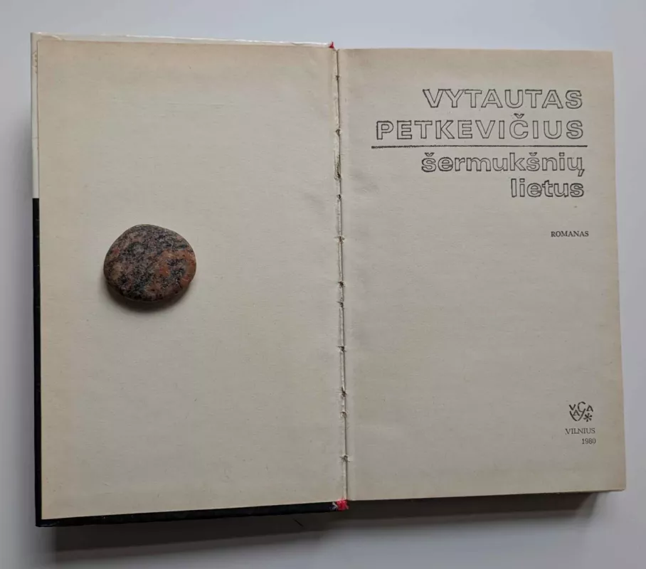 Šermukšnių lietus - Vytautas Petkevičius, knyga 3