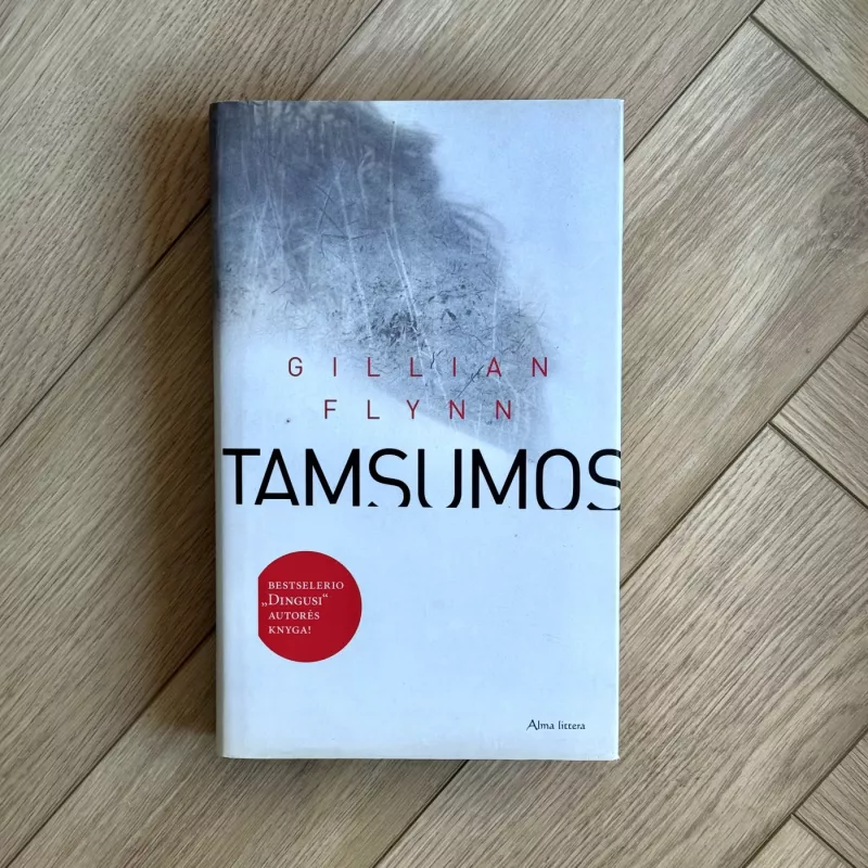 Tamsumos - Gillian Flynn, knyga 2