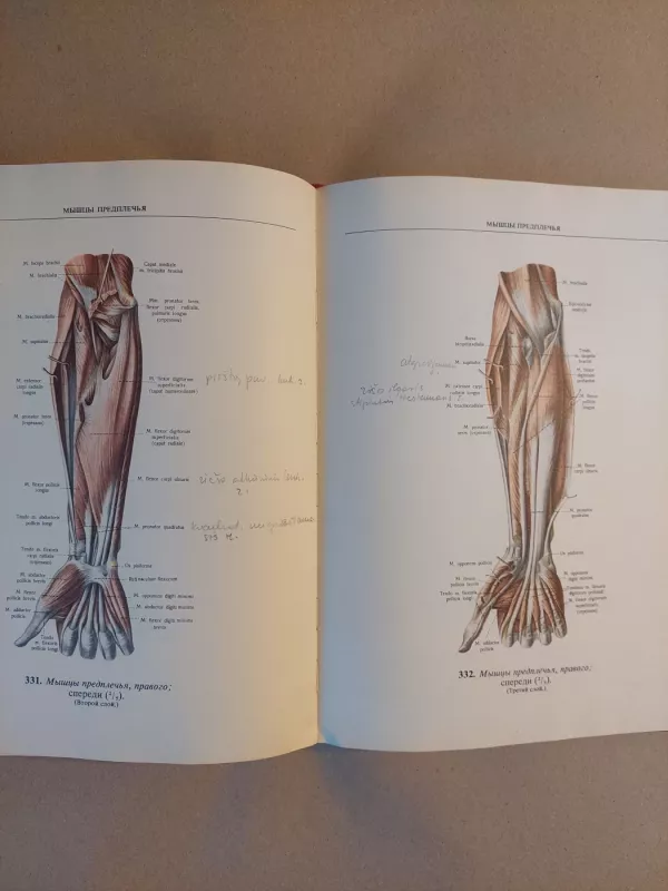Sinelnikov atlas anatomi - R. Sinelnikov, knyga 6