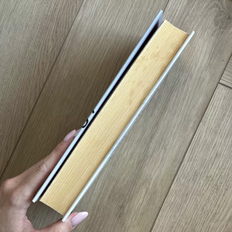 Tamsumos - Gillian Flynn, knyga 5