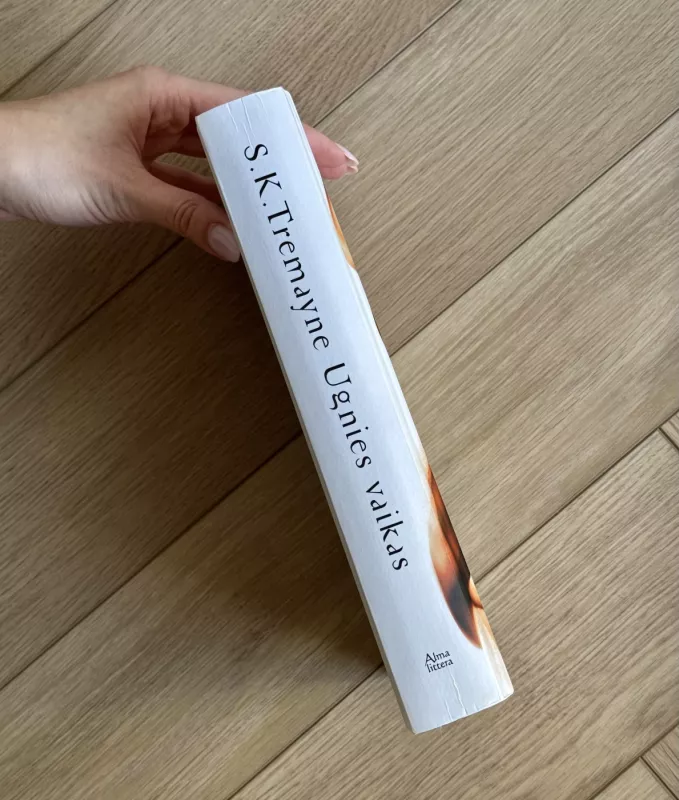 Ugnies vaikas - S.K. Tremayne, knyga 3