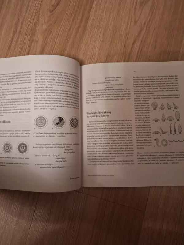 Žiedas prie žiedo - R. Misius, ir kiti , knyga 5