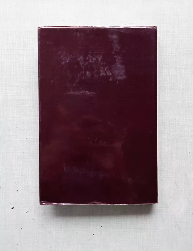 Paulius Galaunė - Zita Žemaitytė, knyga 3