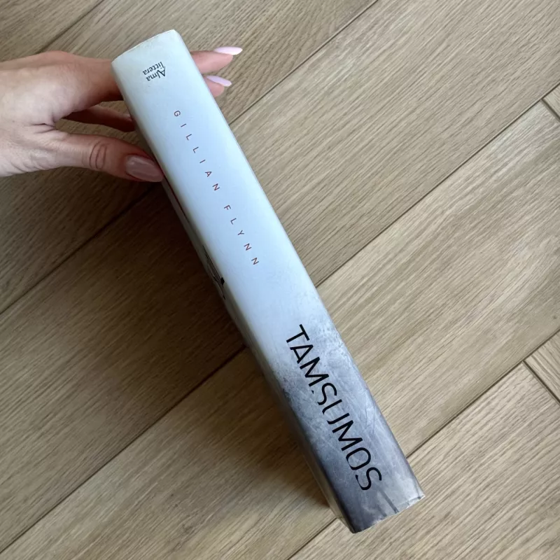 Tamsumos - Gillian Flynn, knyga 4