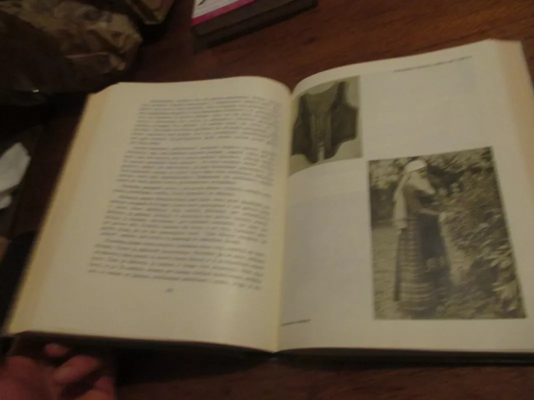 Kupiškėnų senovė: etnografija ir tautosaka - Elvyra Dulaitienė Glemžaitė, knyga 6