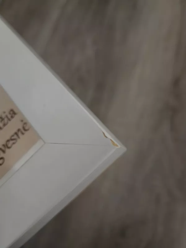 Rėmelis pinigams dovanoti Naujiems namams - , namai ir interjeras 4