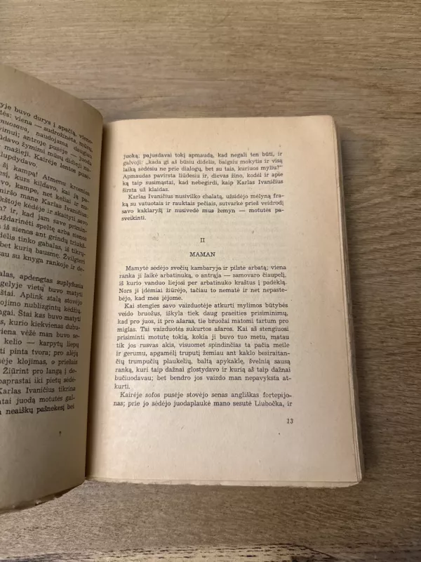 Vaikystė - Levas Tolstojus, knyga 4