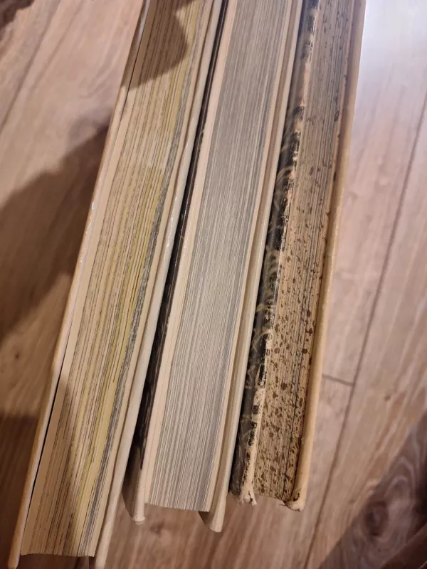 Lietuvių liaudies menas. Mažoji architektūra I-III dalys - Autorių Kolektyvas, knyga 5