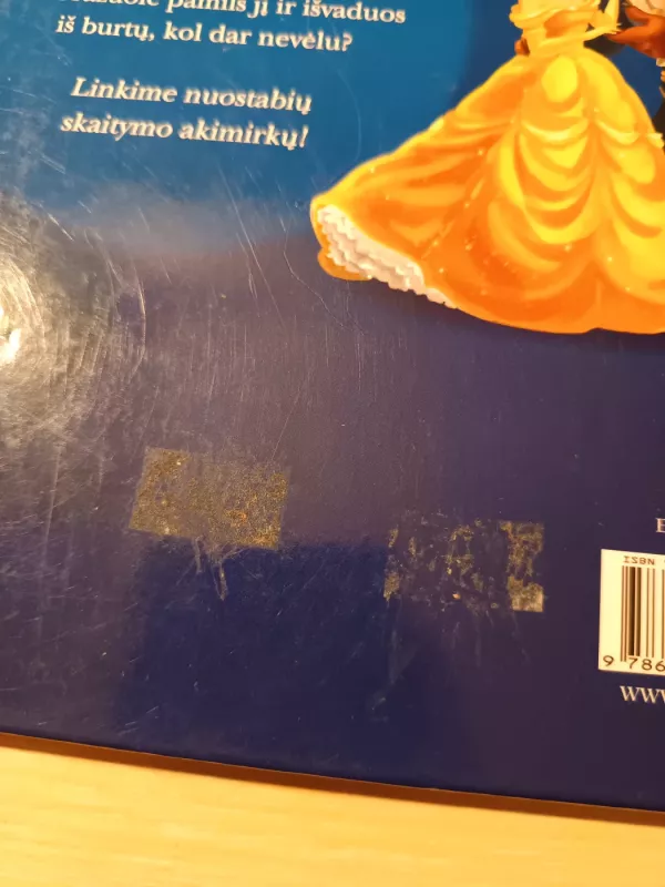 Gražuolė ir pabaisa. Stebuklingas langas į pasaką. - Nežinomas autorius, knyga 4