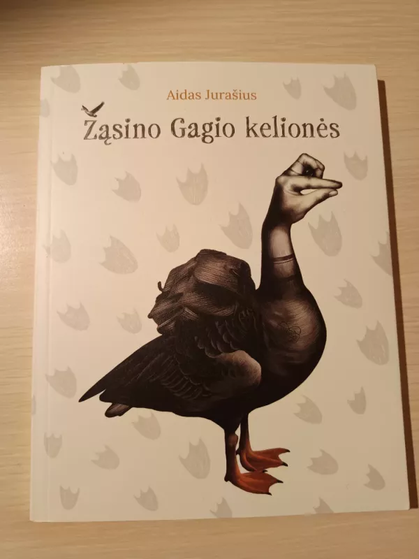 Žąsino Gagio kelionės - Aidas Jurašius, knyga 2