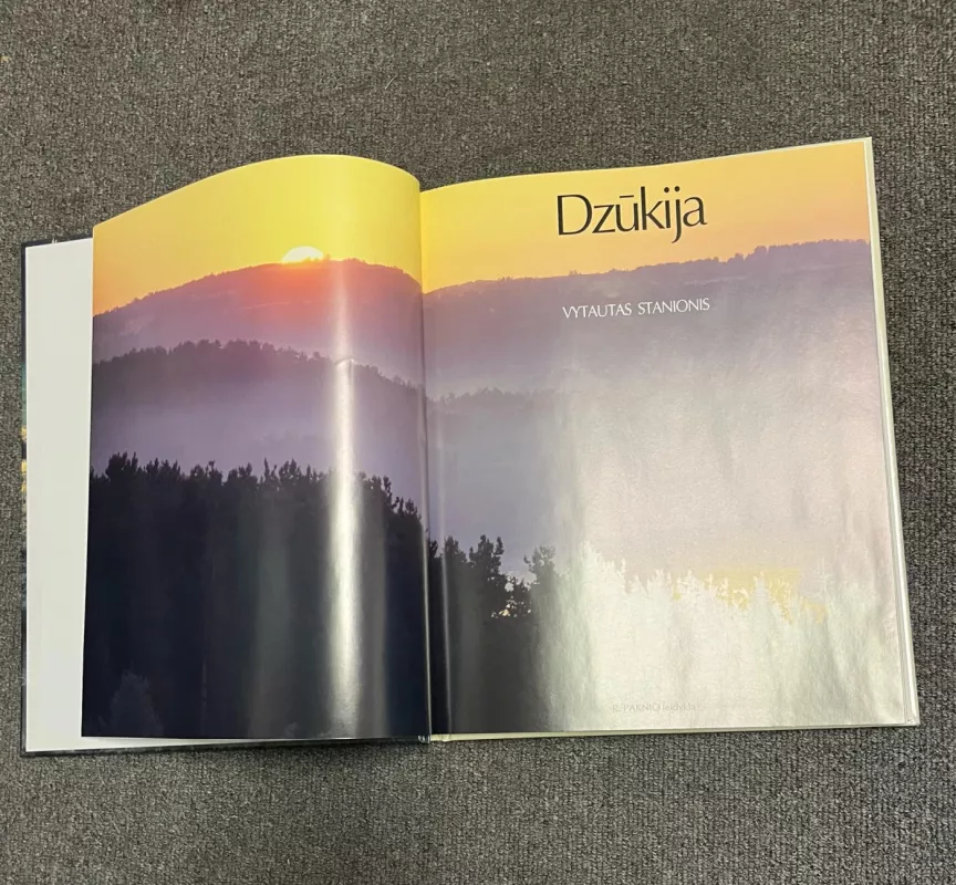 Dzūkija - Vytautas Stanionis, knyga 3