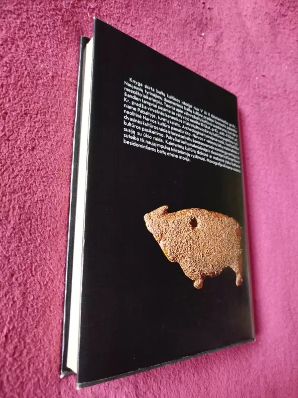 Baltų kultūros ištakos - Algirdas Girininkas, knyga 6