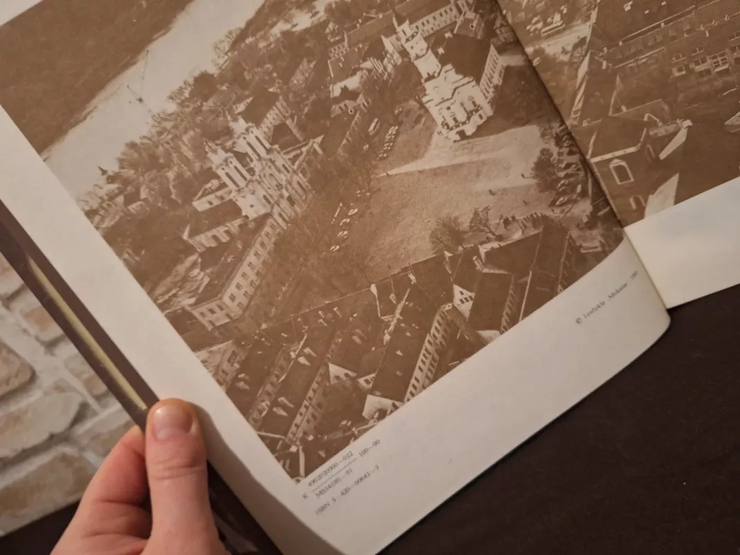 Kauno architektūra - Algė Jankevičienė, knyga 3