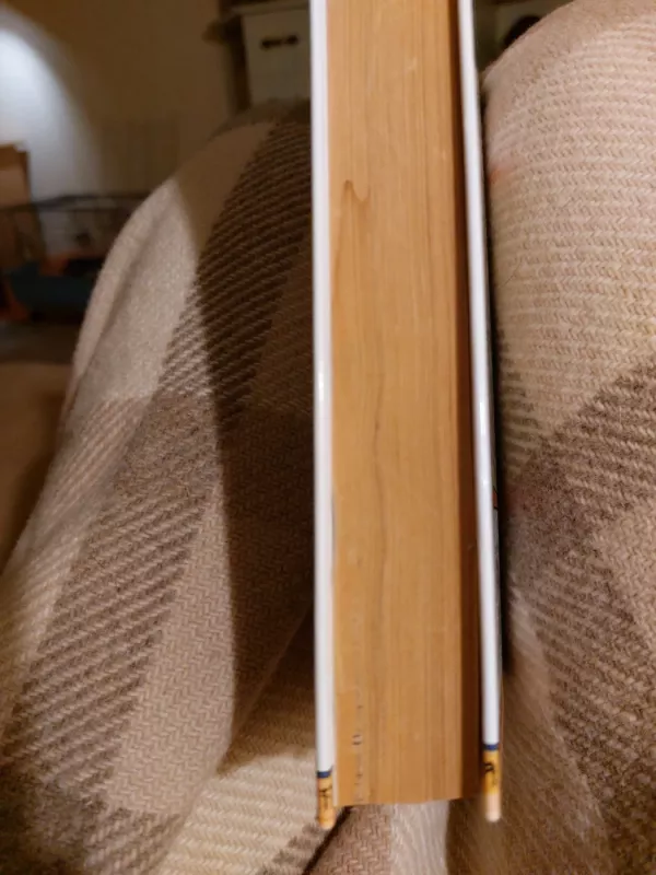 Žiedų valdovas (1 knyga). Žiedo brolija - J. R. R. Tolkien, knyga 5