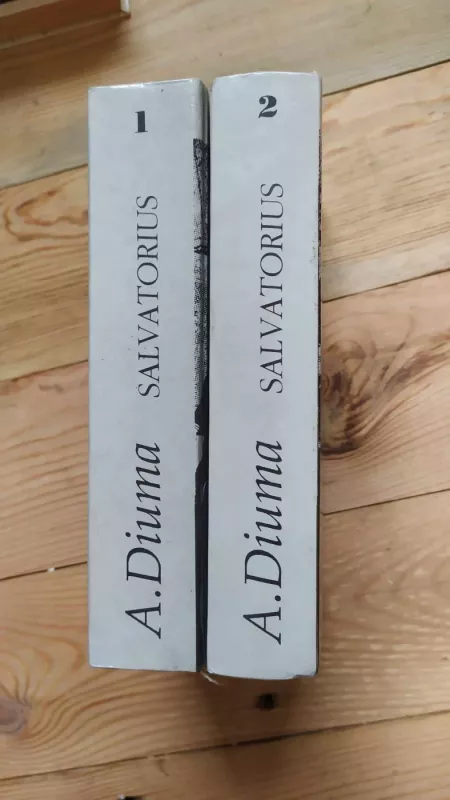 Salvatorius (2 tomai) - Aleksandras Diuma, knyga 3