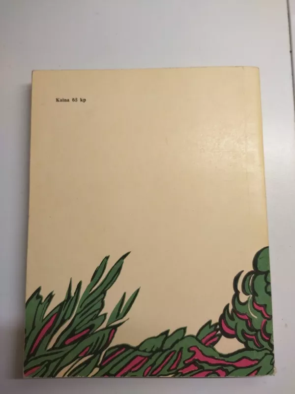 Rytoj neateik - Romualdas Baltušnikas, knyga 3