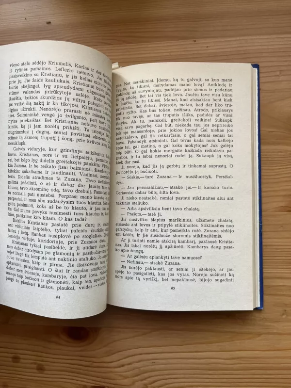 Gandrų metas - Herbertas Otas, knyga 4