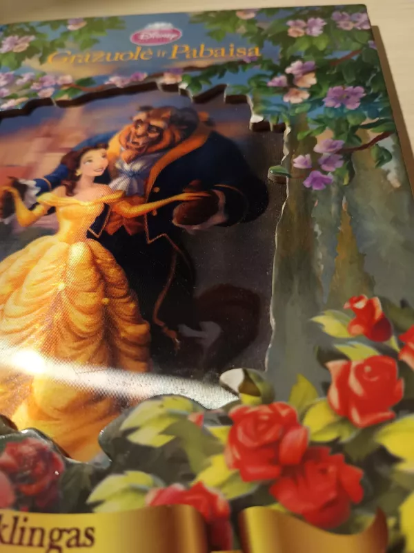 Gražuolė ir pabaisa. Stebuklingas langas į pasaką. - Nežinomas autorius, knyga 3