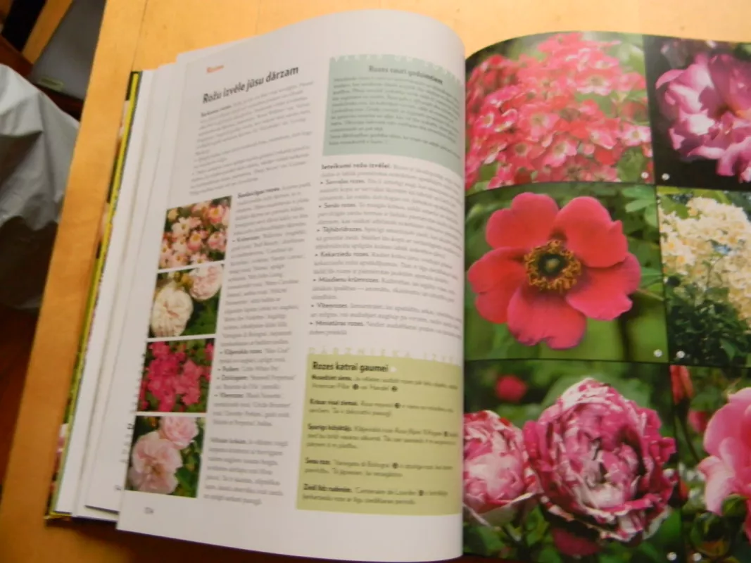 sencu gudribas tavam darzam latviu kalba - Autorius nenurodomas, knyga 5
