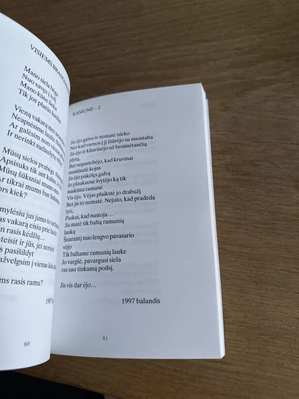 Laikyk mane už rankos - Rūta Kynaitė, knyga 6