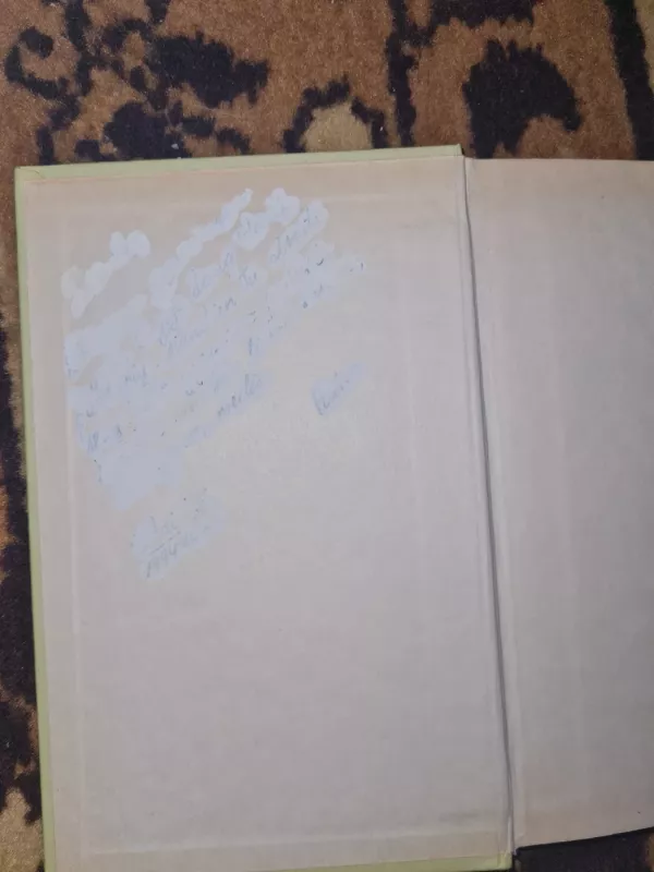 Įnoringa meilė. Aš viską ištversiu - Ema Ričmond, Džanetė  Daili, knyga 3