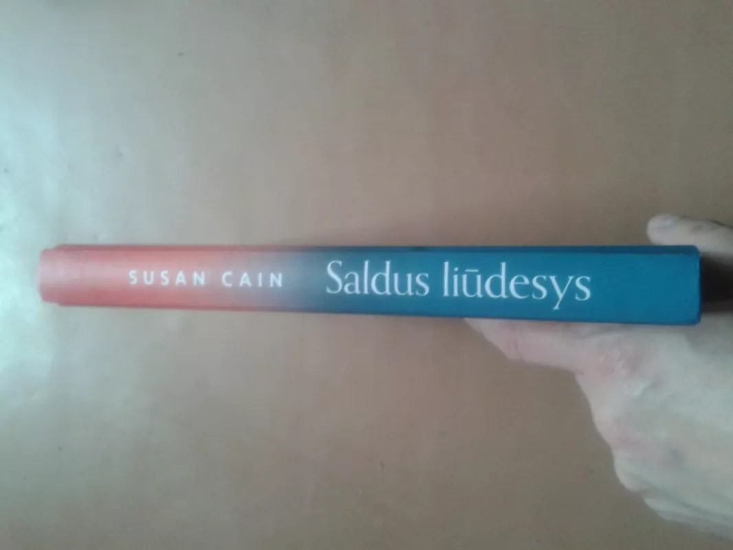 Saldus liūdesys - Susan Cain, knyga 3