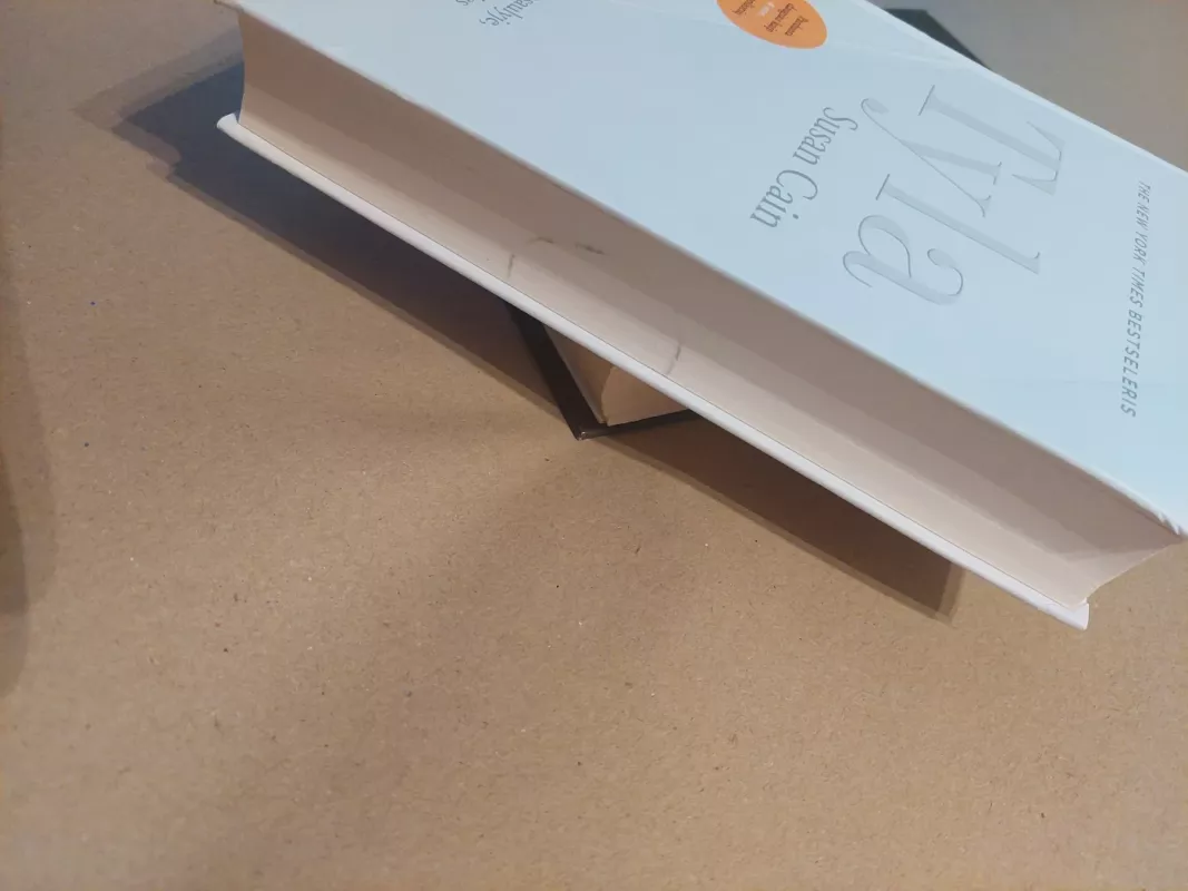 Tyla. Introvertų galia pasaulyje, kuris nesiliauja kalbėjęs - Susan Cain, knyga 4