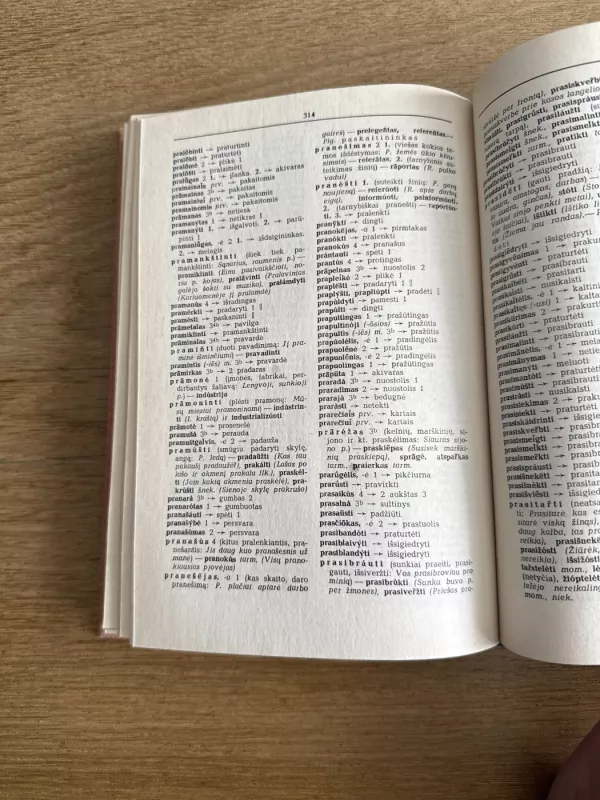 Sinonimų žodynas - Antanas Lyberis, knyga 6