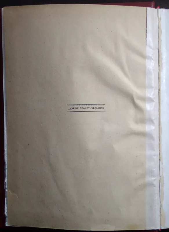 Amerika ir Amerikos lietuviai - Kazys Gineitis, knyga 5